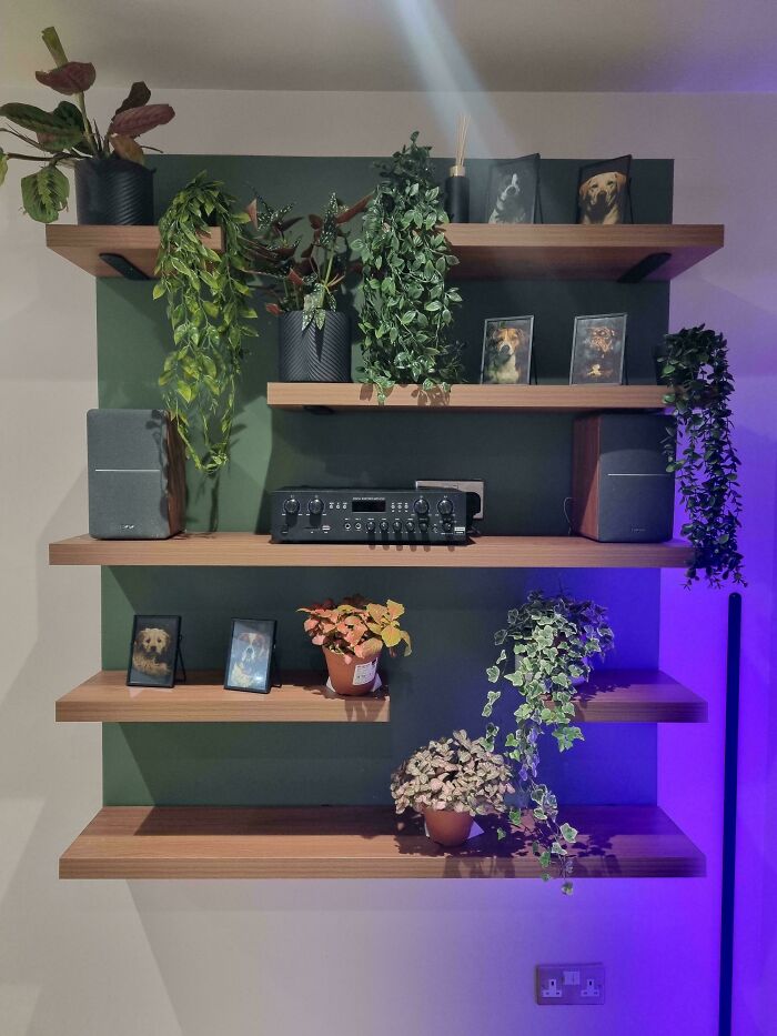 Wooden floating shelves with potted plants, framed photos, and audio equipment against a green painted wall in a DIY project.