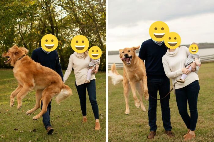 Family posing outdoors with dog doing exactly what they were asked to do in unhinged pics of people and pets.