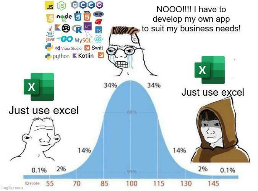 Bell curve meme illustrating programming languages and the universal struggle of debugging with humorous Excel suggestions.