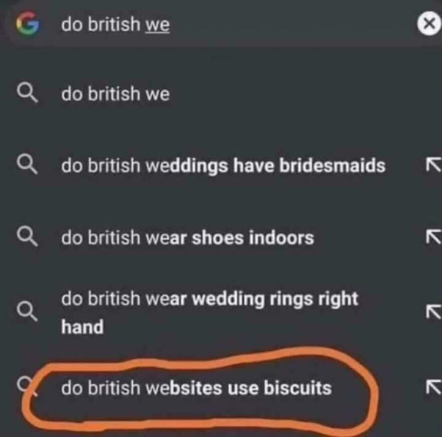 Google search suggestions with a humorous query about British websites using biscuits, highlighting programming memes and debugging struggles.