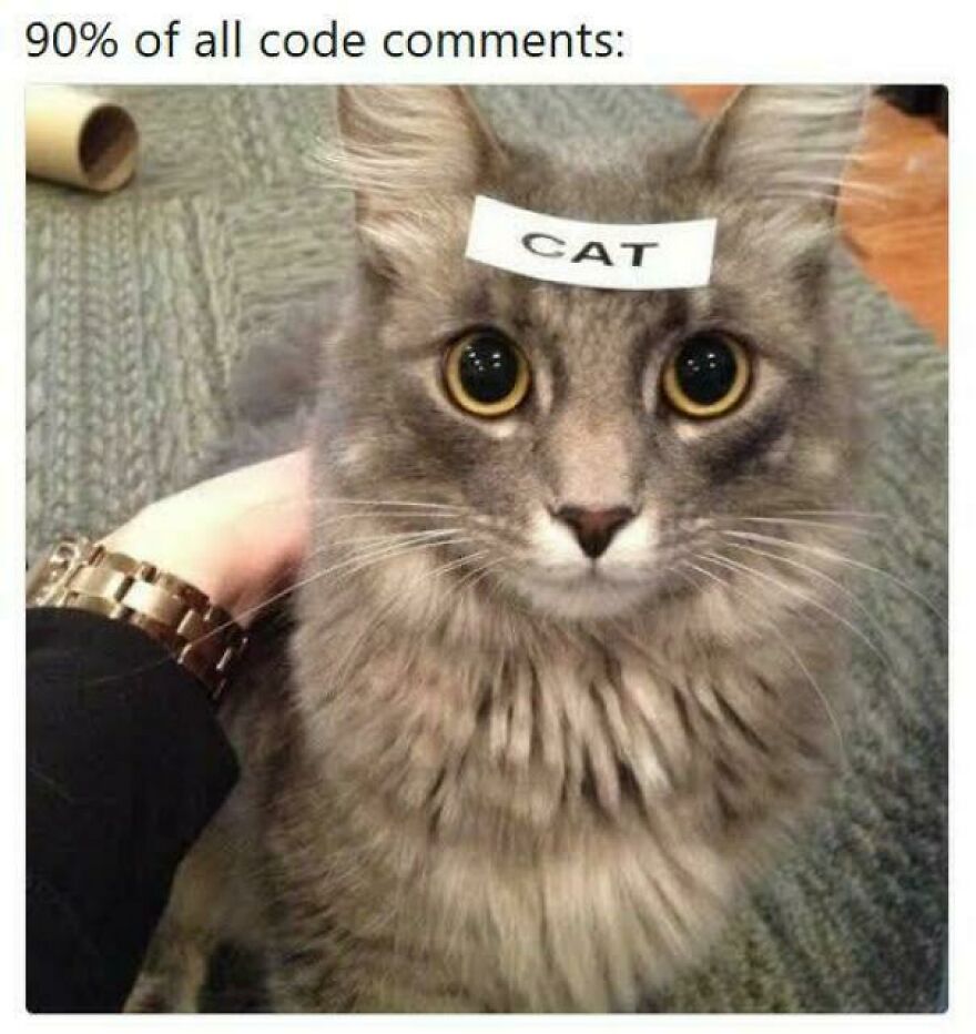 Cat with label on head illustrating common programming memes about code comments in debugging and coding struggles.