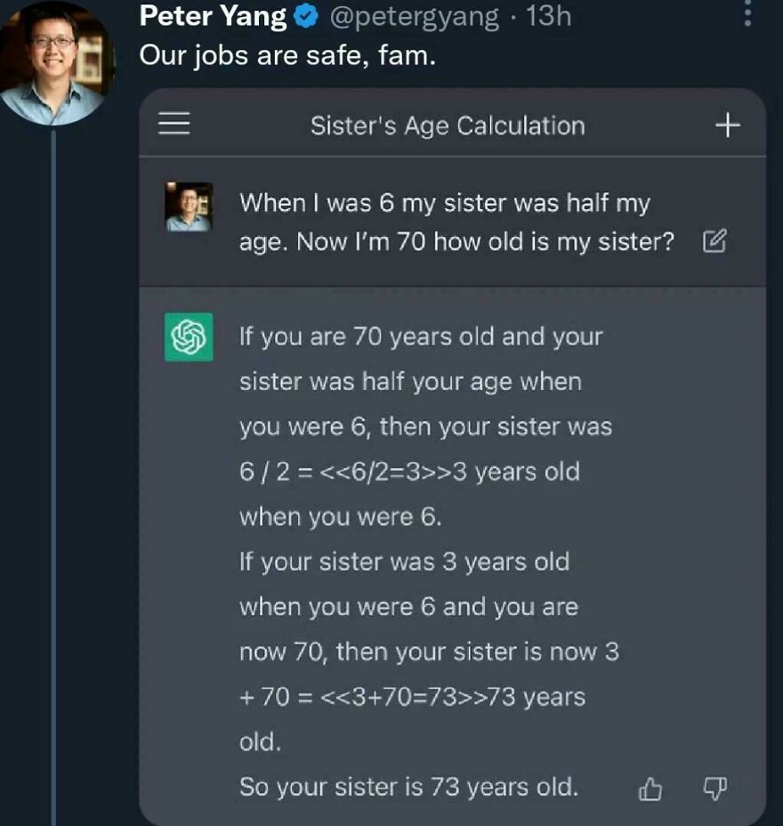 Programming meme showing a confusing debugging scenario involving age calculation between siblings with humorous AI code output.
