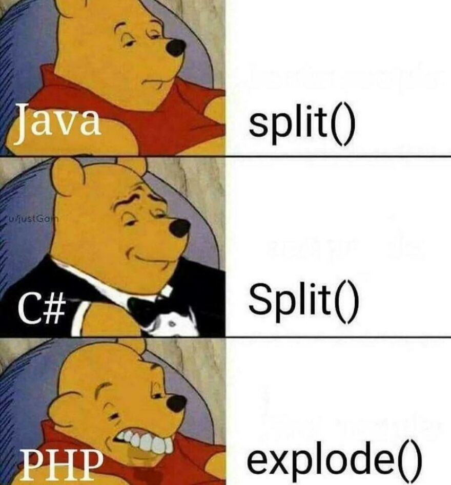 Winnie the Pooh meme comparing Java, C#, and PHP string split functions in programming humor about debugging struggles.