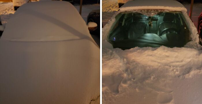 You'll Get To Enjoy About Twelve Extra Minutes Of Sleep On Snowy Mornings While Your Neighbors Are Miserably Scraping Their Cars Thanks To A Windshield Snow Cover 
