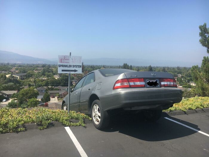 Car parked halfway on curb and bushes in a parking lot, showing family frustrations shared in online venting posts.