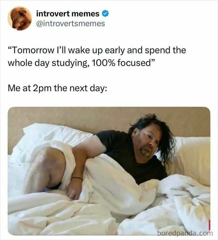 A relatable student meme showing a tired person in bed at 2pm after planning to study all day focused.