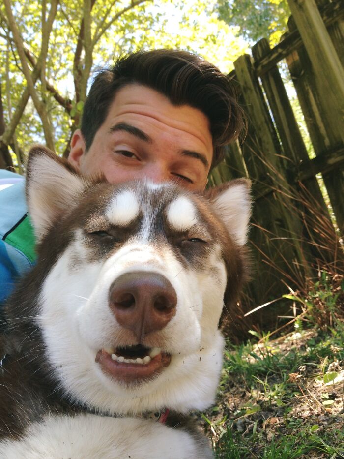 Smiling dog and man outdoors in sunlight, posing for a funny animal selfie with blurred trees and wooden fence background.