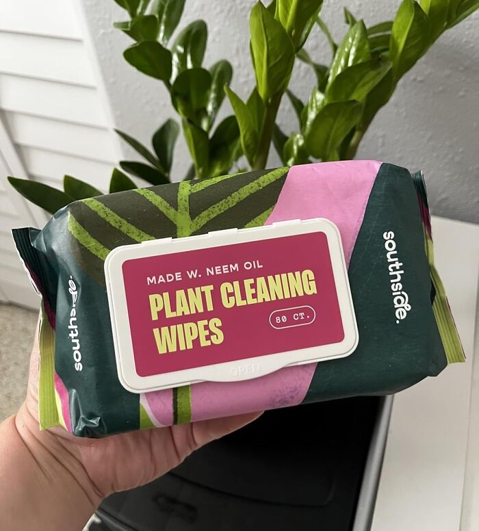 Houseplants Will Finally Stop Giving You The Dusty Side-Eye With These Plant Cleaning Wipes 