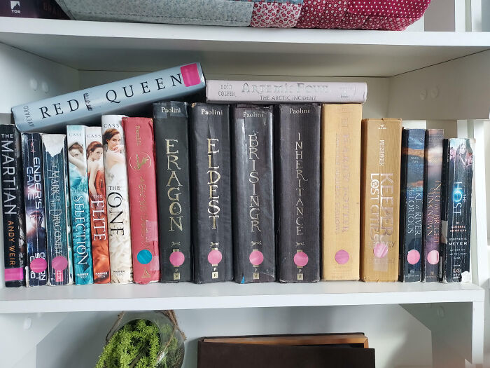 Bookshelf filled with popular novels showing a family’s shared collection causing frustration and venting online.