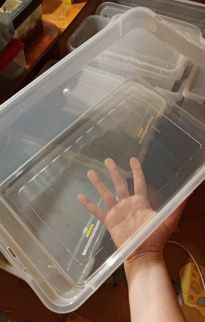 Hand holding a transparent plastic container showing frustration with family members in a relatable online venting moment