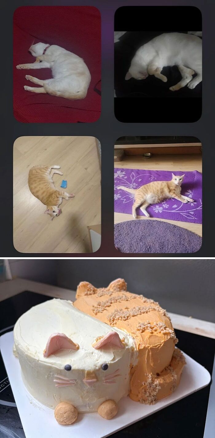 Cat-shaped baked goods cake inspired by sleeping cats, showcasing creative and gorgeous baked goods art.