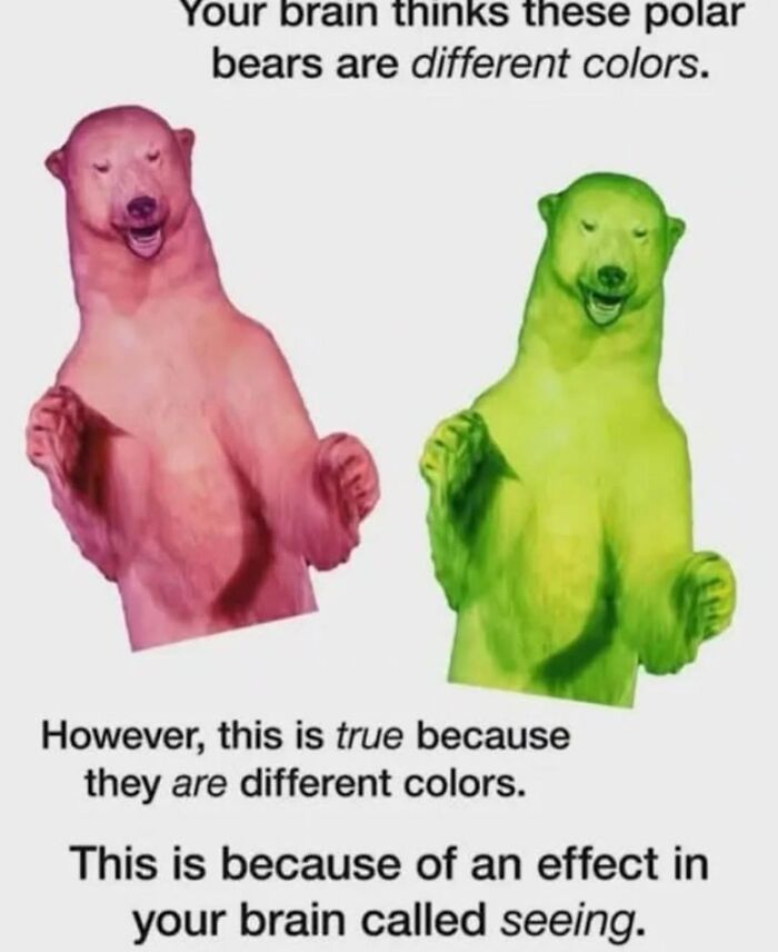 Two colorful polar bears in pink and green showing a visual brain effect explained in hilarious educational memes.