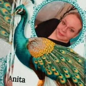 anitaartistry avatar