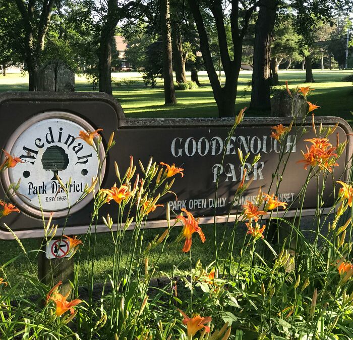Sign for Goodenough Park in Medinah Park District partially obscured by flowers, illustrating funny examples of people not trying.