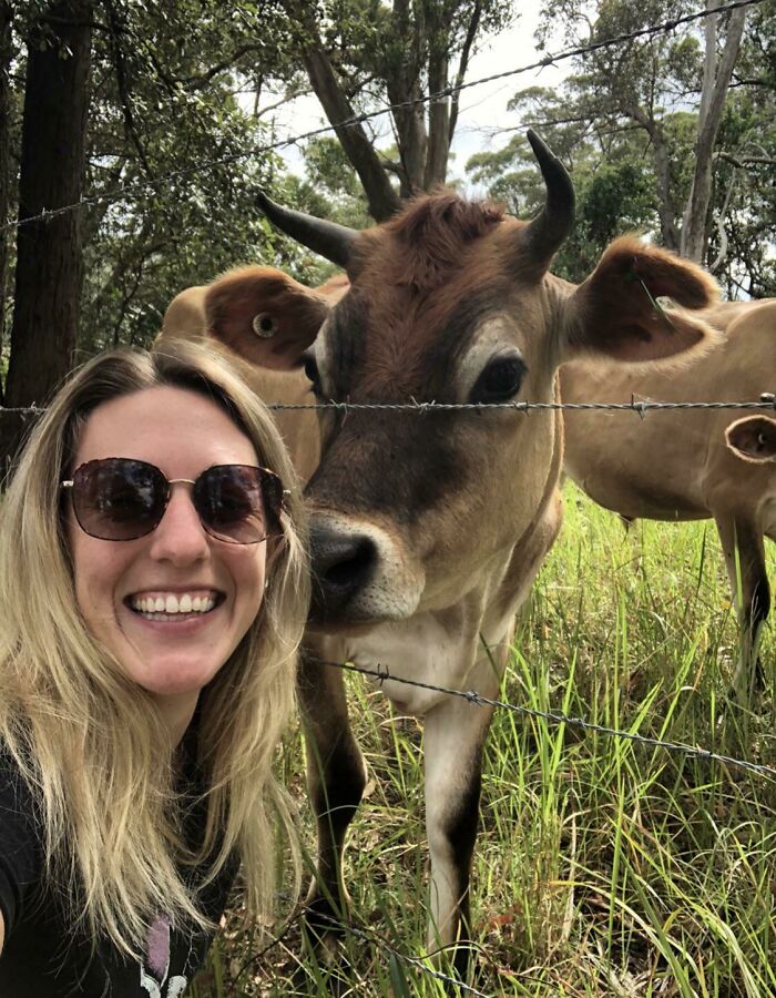 Woman with sunglasses taking a selfie outdoors with a close-up cow behind a barbed wire fence in natural setting.