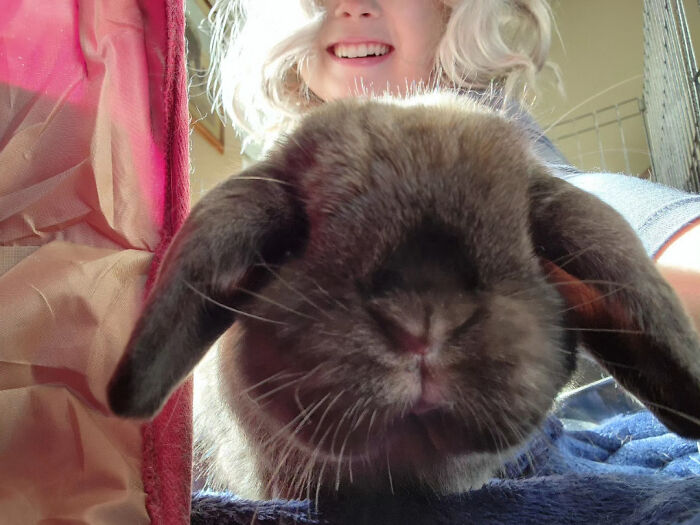Close-up selfie of a fluffy rabbit with a smiling person in the background, showcasing animals who can take better selfies.