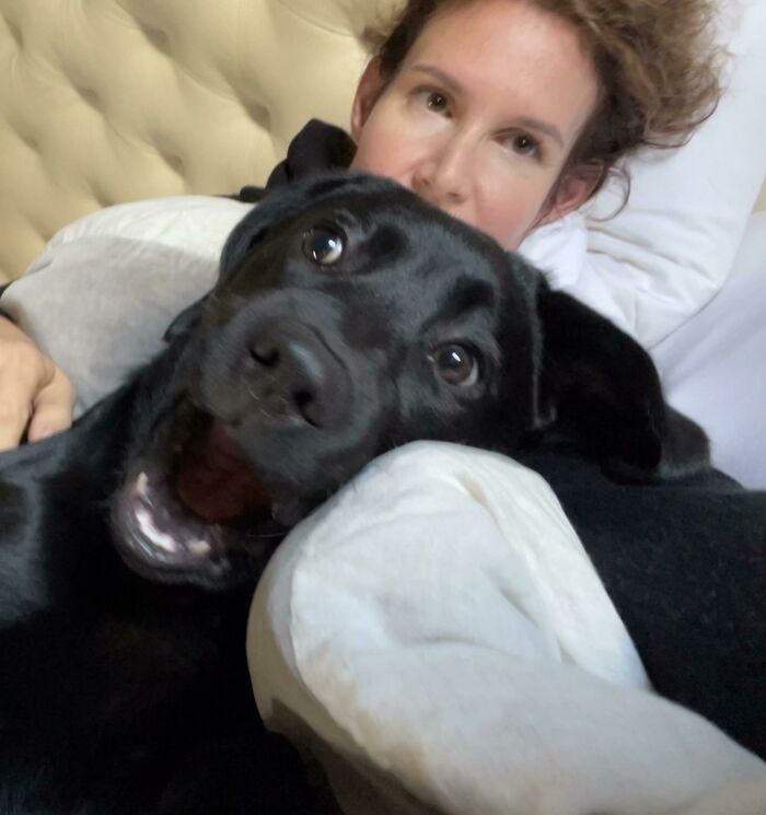A happy black dog and woman taking a close-up selfie, showcasing animals who can take a better selfie than you.