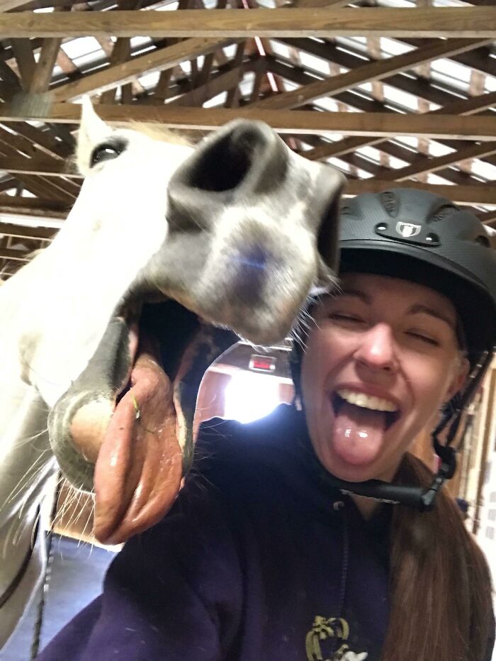 Horse and woman wearing helmet making funny faces in a selfie featuring animals who can take better selfies than you.