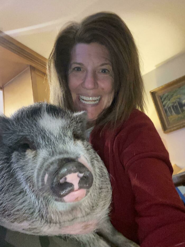Woman smiling indoors taking a selfie with a pig, showcasing one of the animals who can take a better selfie than you.