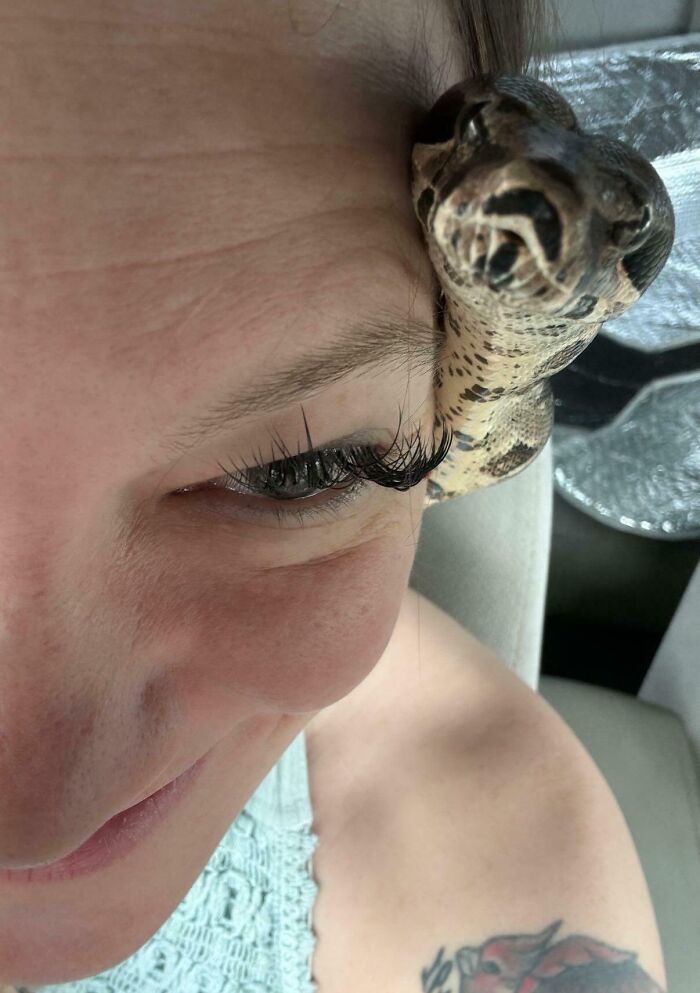 Close-up of a person smiling with a snake resting on their face, showcasing animals who can take a better selfie.