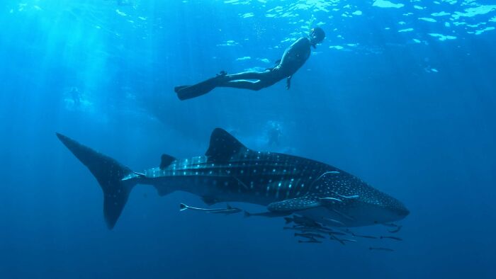 Baa Atoll In 4 photos: Sunsets, Villas, And Coral Reefs Baa Atoll In 4 photos: Sunsets, Villas, And Coral Reefs