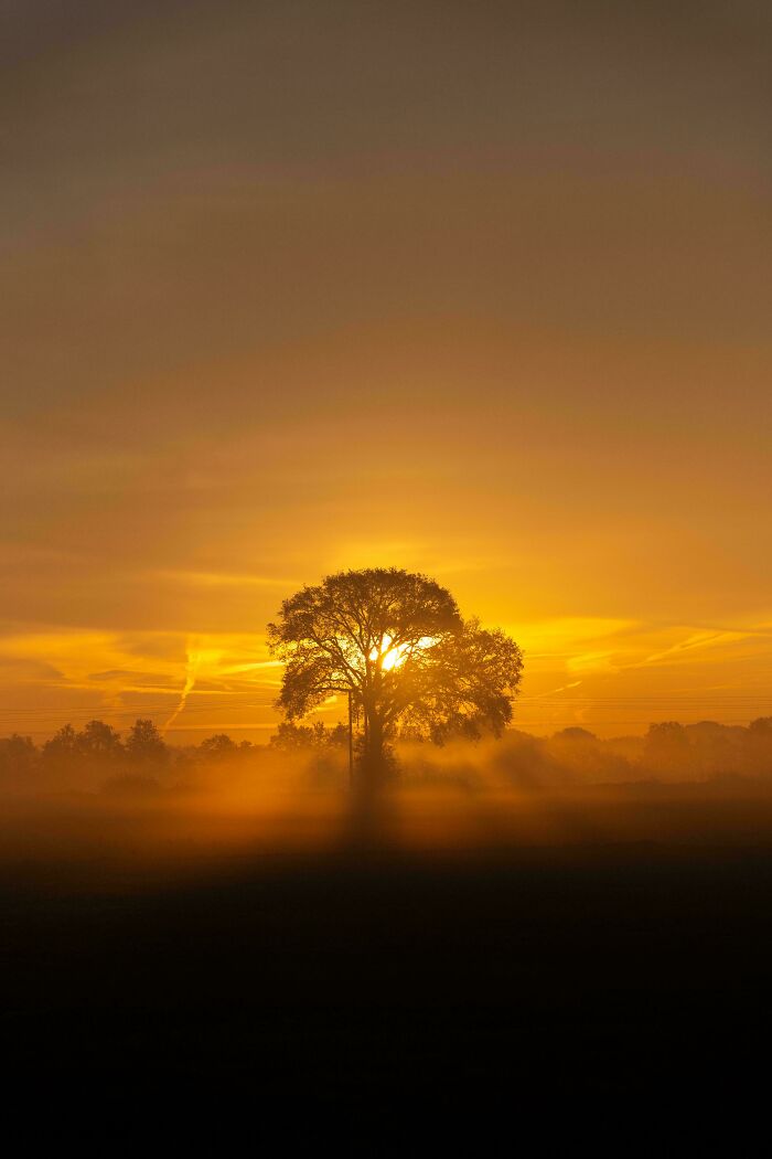 Sunset behind a solitary tree casting golden light and shadows, showcasing our world from a different perspective.