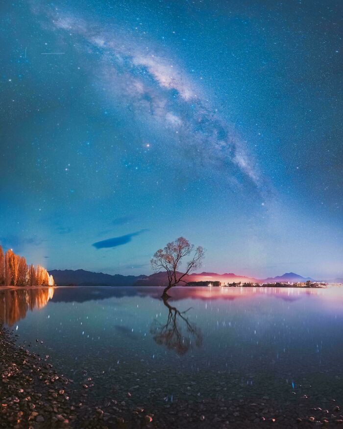 Night sky filled with stars and Milky Way over calm lake with a solitary tree, showcasing amazing world perspective.