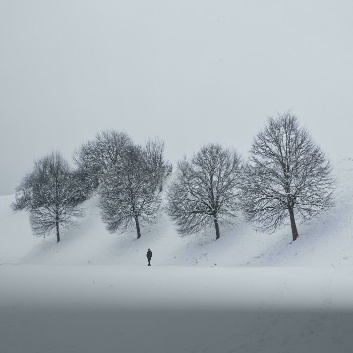 Person walking in a snowy landscape with bare trees covered in snow, showing our world from a different perspective.