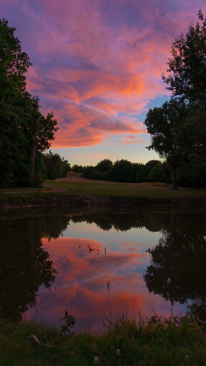 Sunset sky with vibrant clouds reflected in a calm pond, showing our world from a completely different perspective.