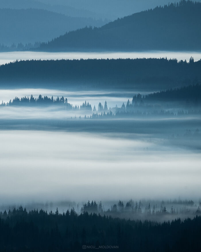 Mist-covered pine forests and hills creating a surreal scene showcasing our world from a completely different perspective.