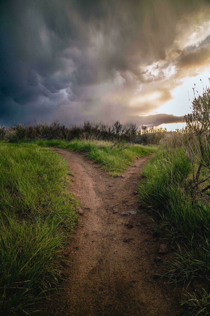 Dirt path splitting into two through green grass under dramatic dark clouds showing world from a different perspective.