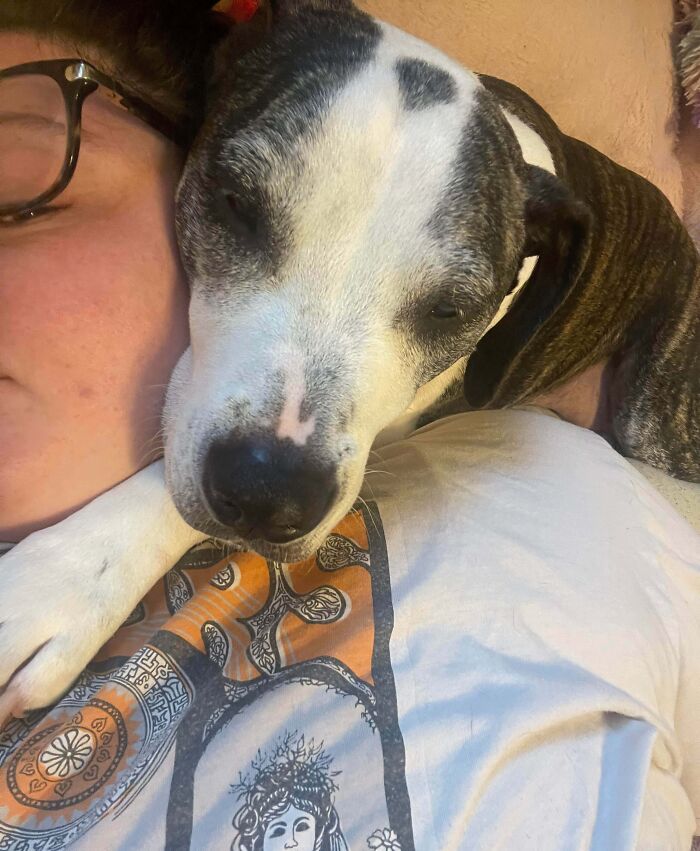 Person cuddling closely with a large dog resting on their shoulder, showing pet and personal space interaction.