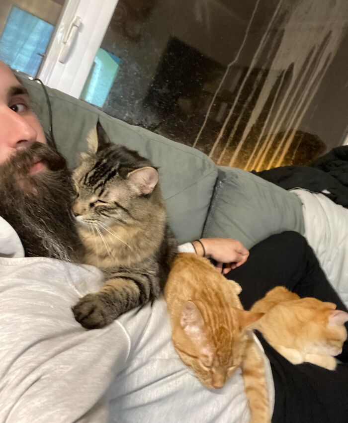 Man relaxing on a couch with three cats lying on him, illustrating how pets affect personal space.