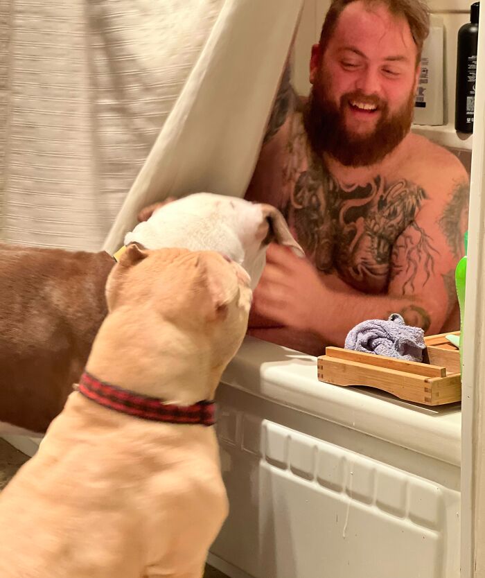 Man with tattoos smiling in bathtub while two dogs eagerly crowd around, showing lack of personal space with pets.