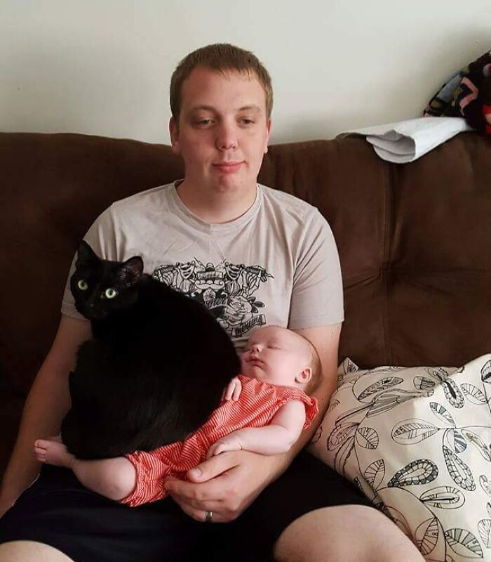 Man holding a sleeping baby with a black cat sitting on the baby, showing pets taking over personal space.