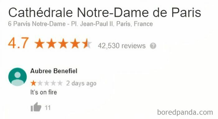 1-star funny review for Cathédrale Notre-Dame de Paris saying "It's on fire" with 11 likes shown.