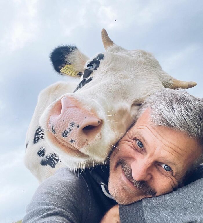 Close-up selfie of a cow and man outdoors showing how animals can take a better selfie than you ever will
