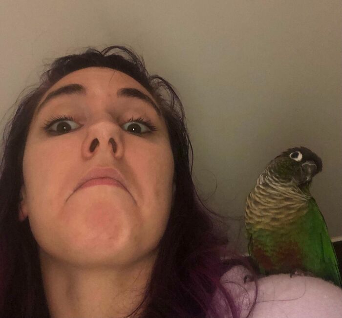 A woman making a funny face next to a green parrot, showcasing animals who can take a better selfie.