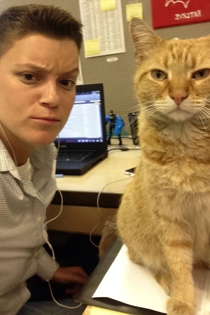Person and orange cat taking a selfie together, showcasing animals who can take better selfies than humans.