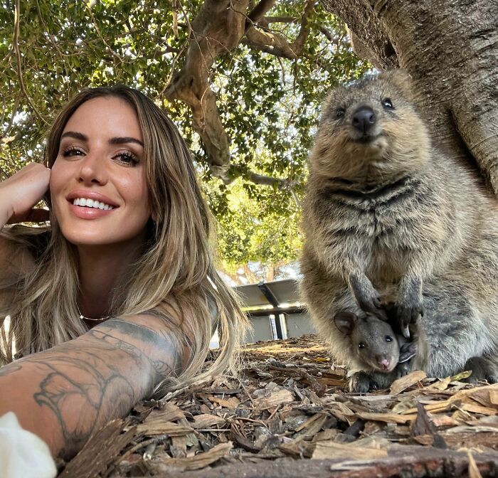 Woman lying on ground taking a selfie with a quokka and baby under a tree, showcasing animals who can take better selfies.