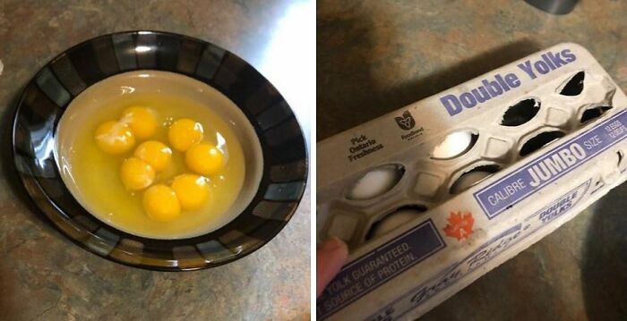 Egg carton labeled double yolks next to a bowl with multiple double yolk eggs, showing relatable moments of students and young adults.