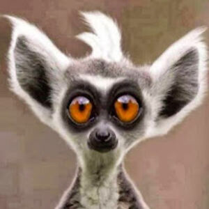 aleksandrawozniak avatar