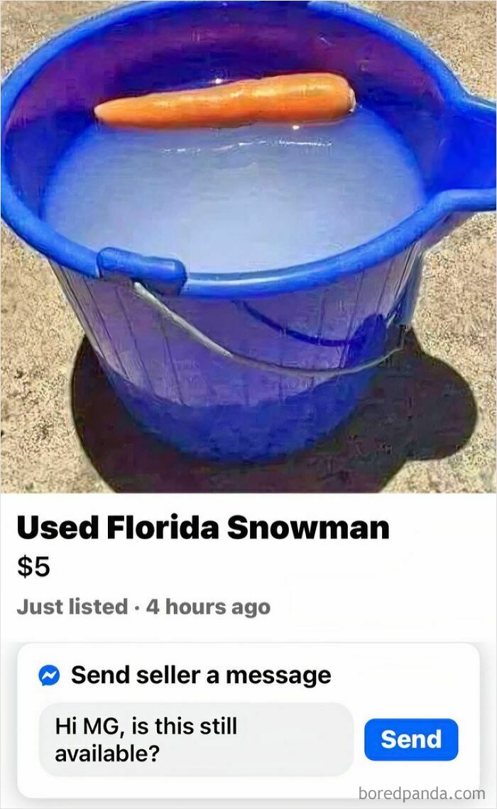 Blue bucket filled with water and a carrot floating, a humorous listing on FB Marketplace with unhinged posts.