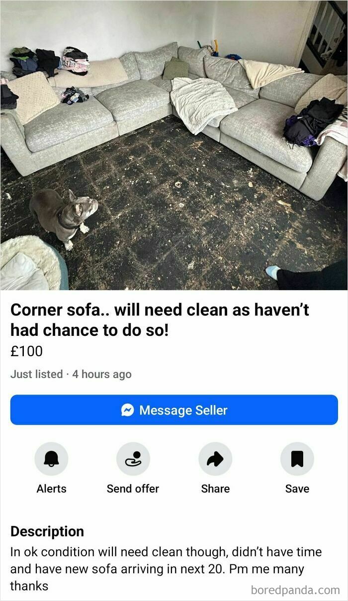 Corner sofa listing on FB Marketplace with worn cushions, clutter, and a dog nearby in a messy room needing cleaning.