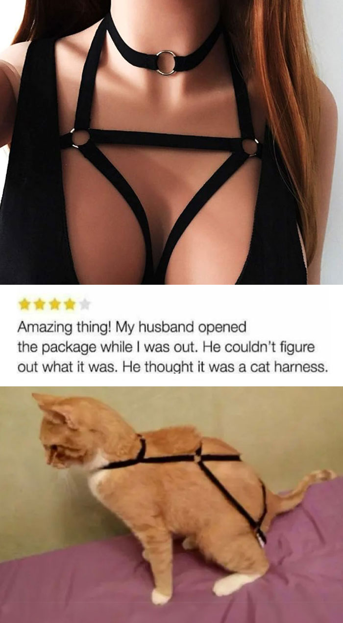 Black strappy harness worn as lingerie and humorously mistaken for a cat harness in unhinged reviews.