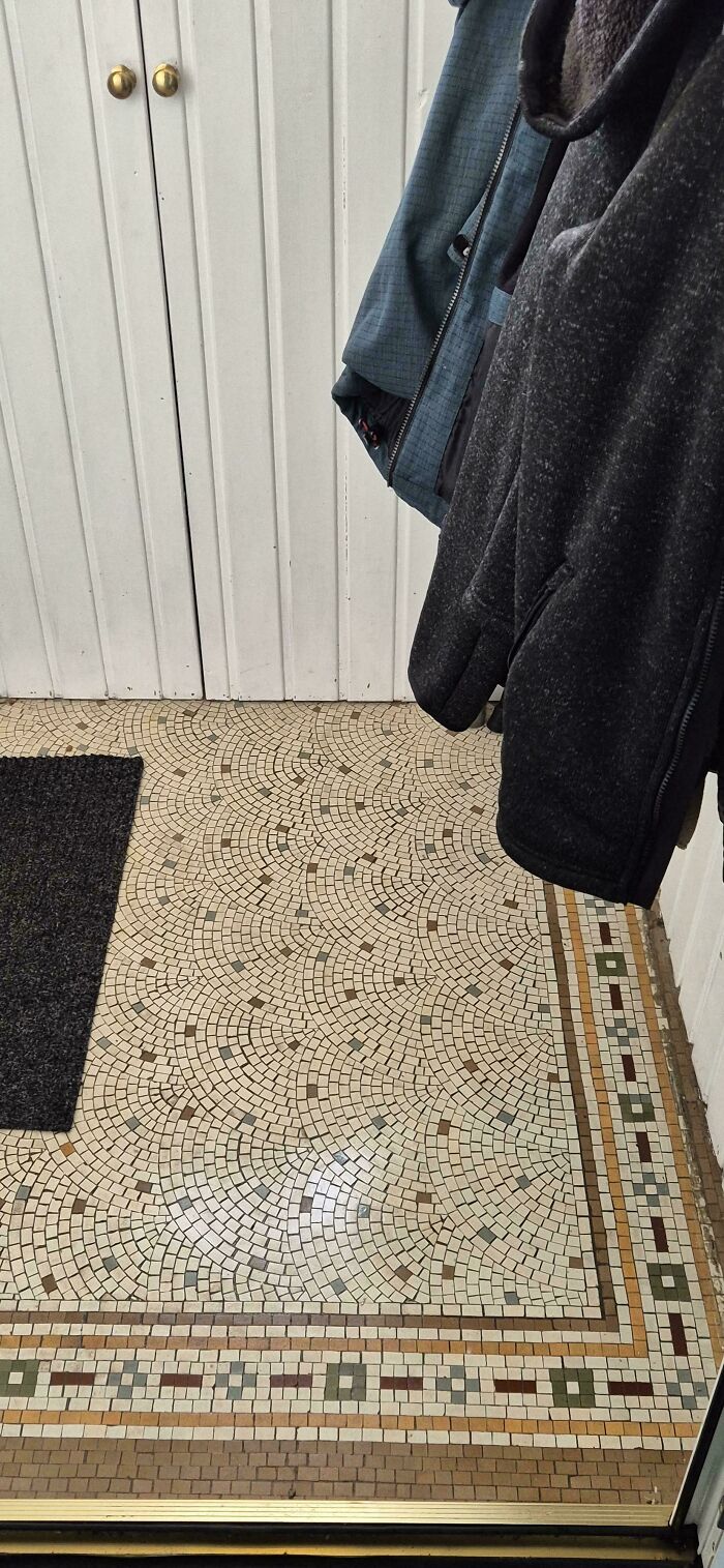 691d64f7044c2_tdzrnp1c7vyf1-jpeg__700.jp