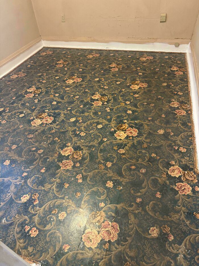 691d65b25eee3_um7nhd1sw6oe1-jpeg__700.jp