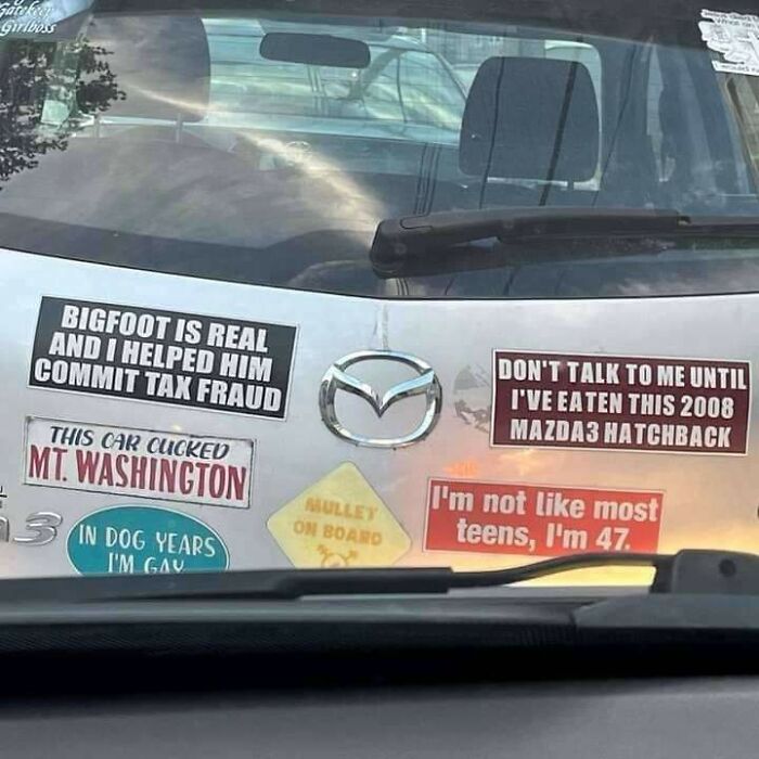 Rear view of a Mazda hatchback covered with humorous and quirky bumper stickers showcasing stupidity on wheels.
