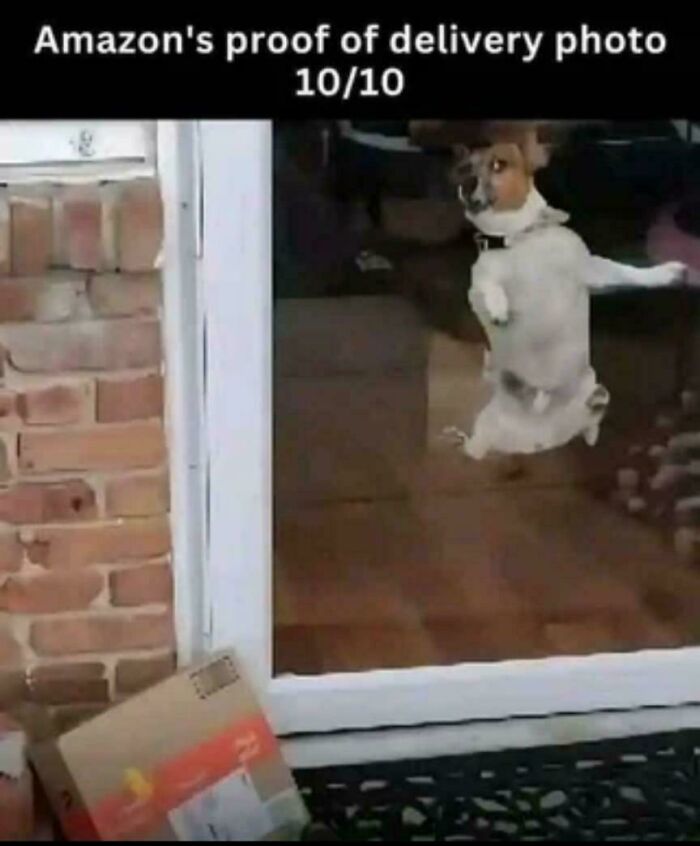 Funny dog meme of a dog jumping inside behind glass door with a delivered Amazon package outside the door.
