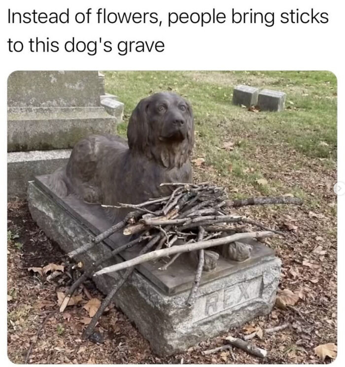 Dog grave with a stone dog statue covered in sticks, a funny dog meme highlighting loyal pet memories.